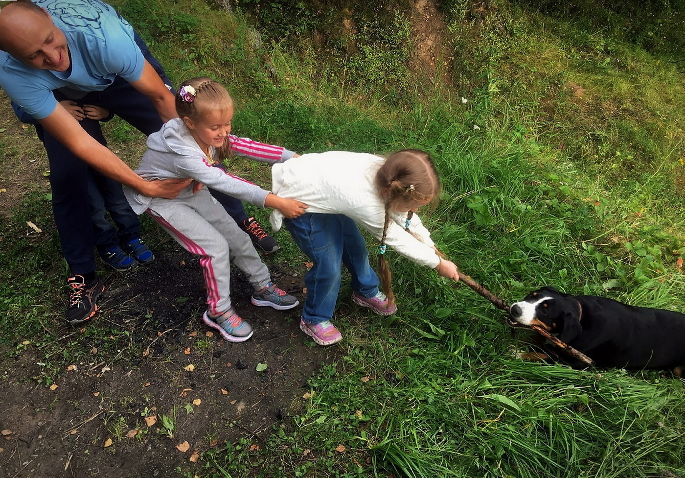 Название очевидно