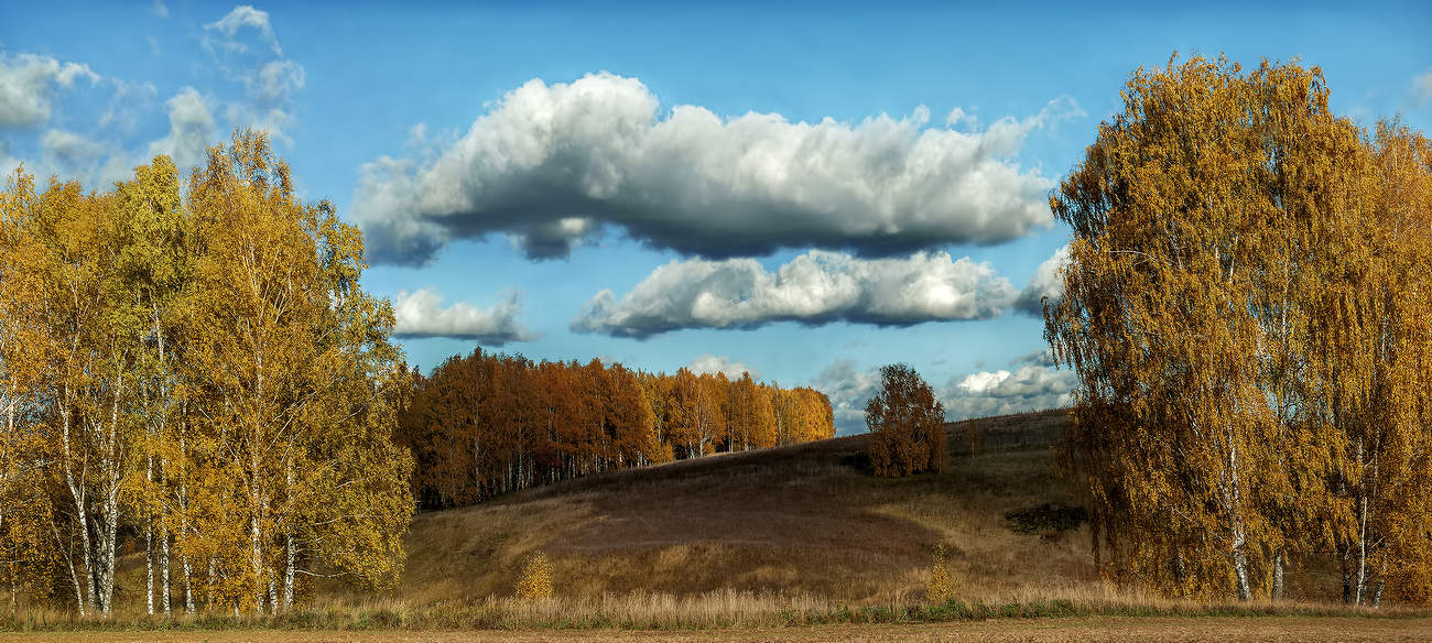 Жёлтое и синие.
