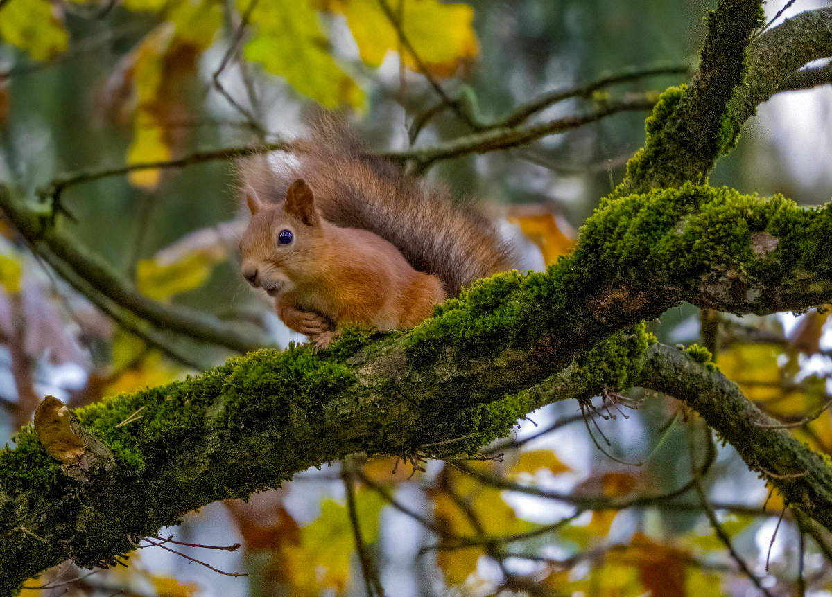 Это вы мне ?)