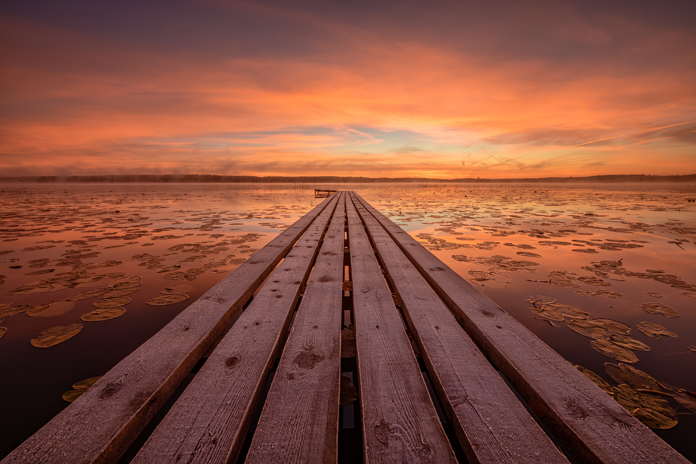 #ввашутиновсегдахорошо