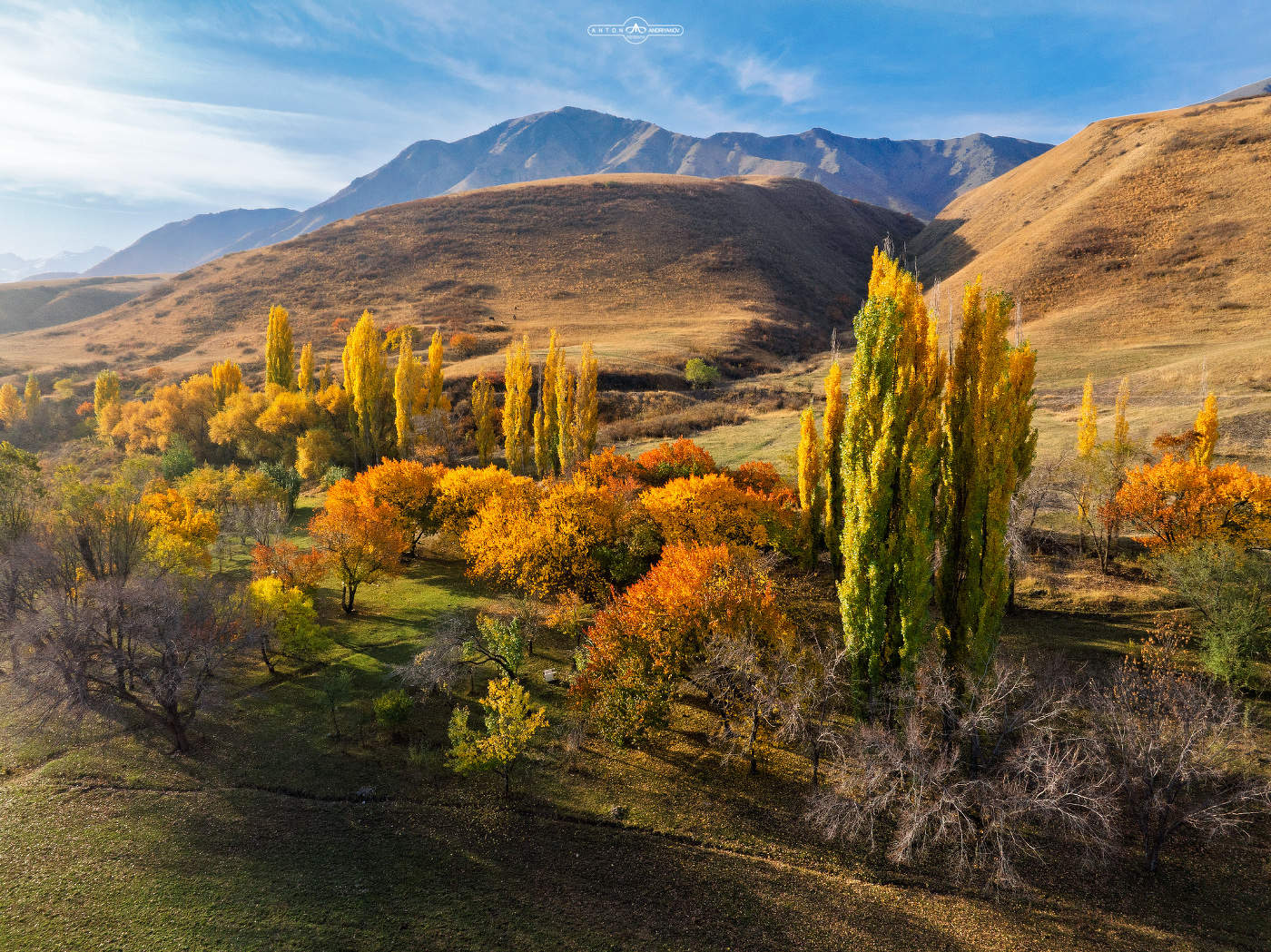 Краски осени