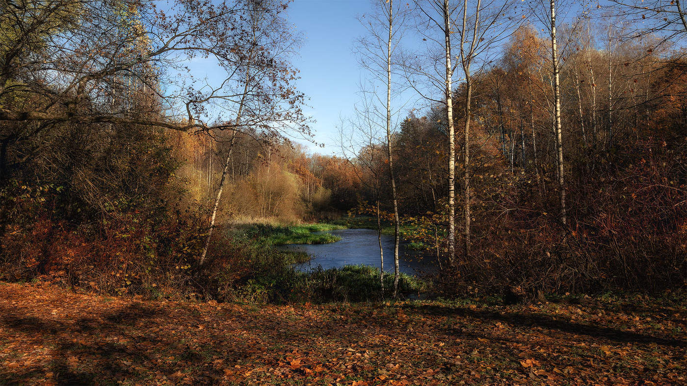 Люблю я пышное природы увядание...
