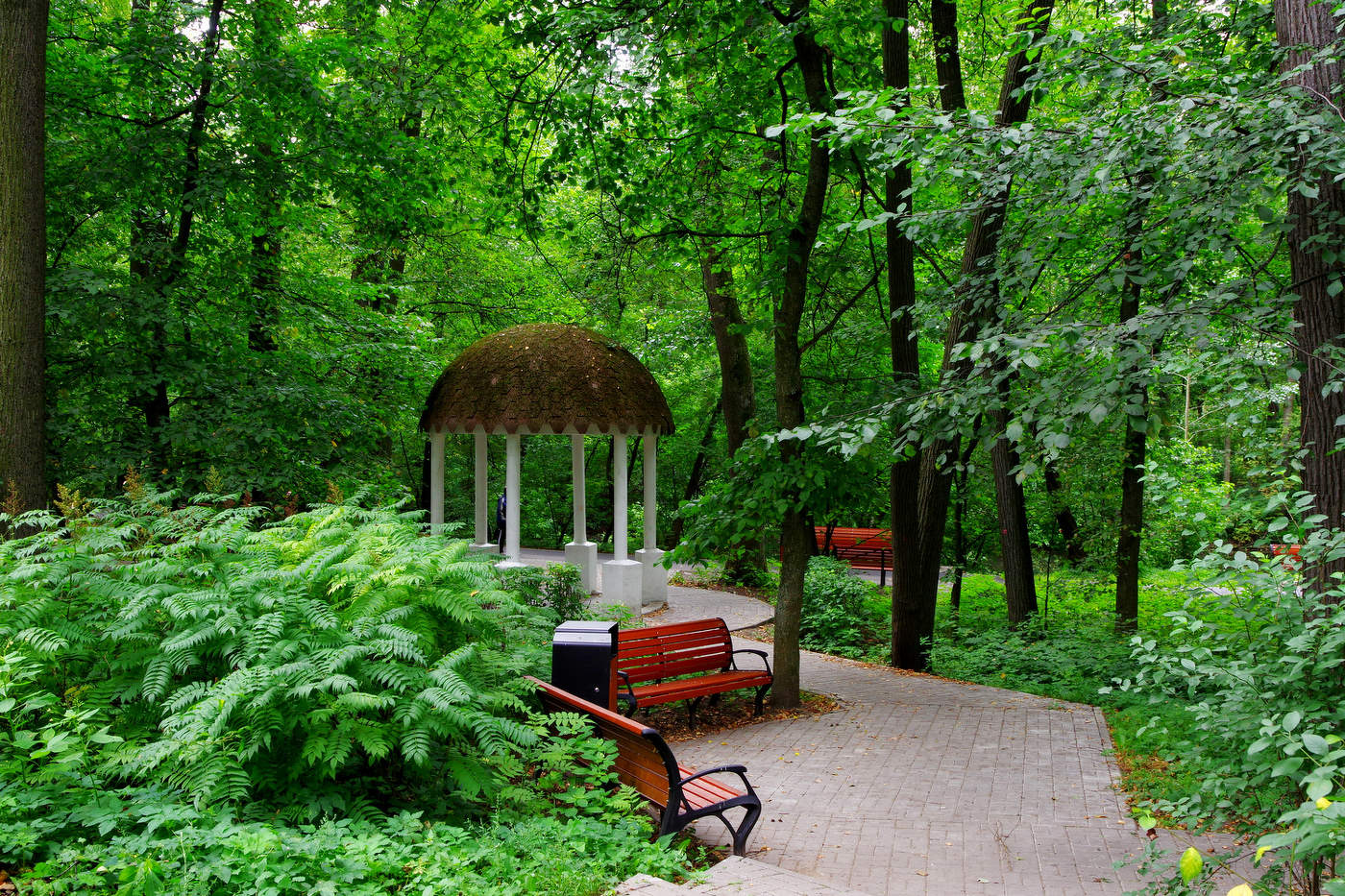 Кузьминский парк