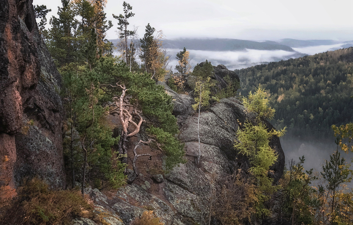 Жизнь на скалах