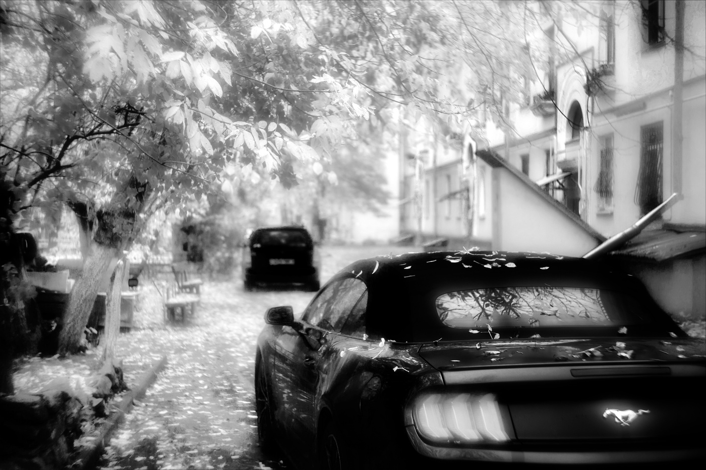 ТИХИЕ ДВОРИКИ