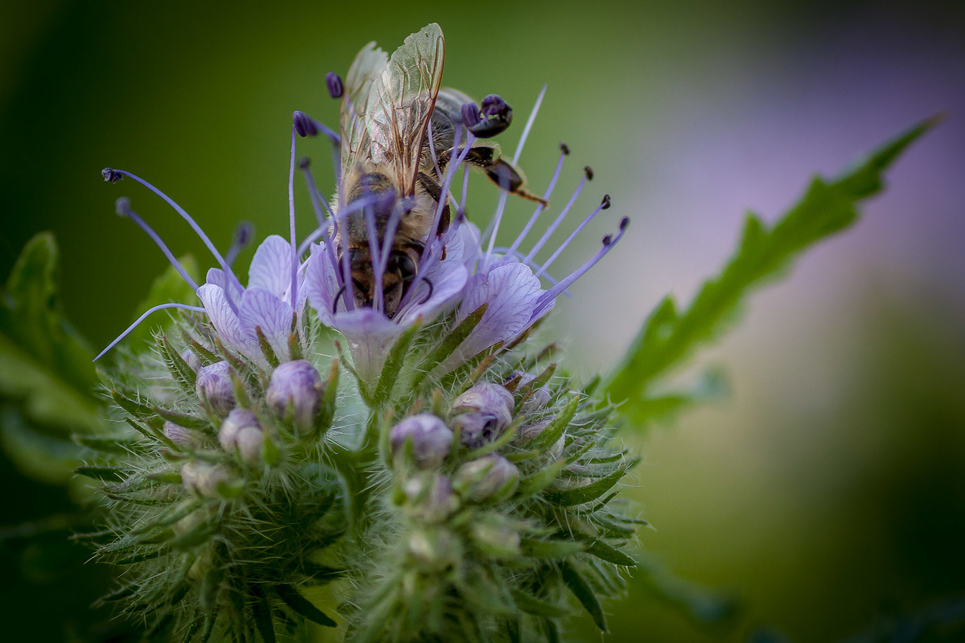 С головой в работе