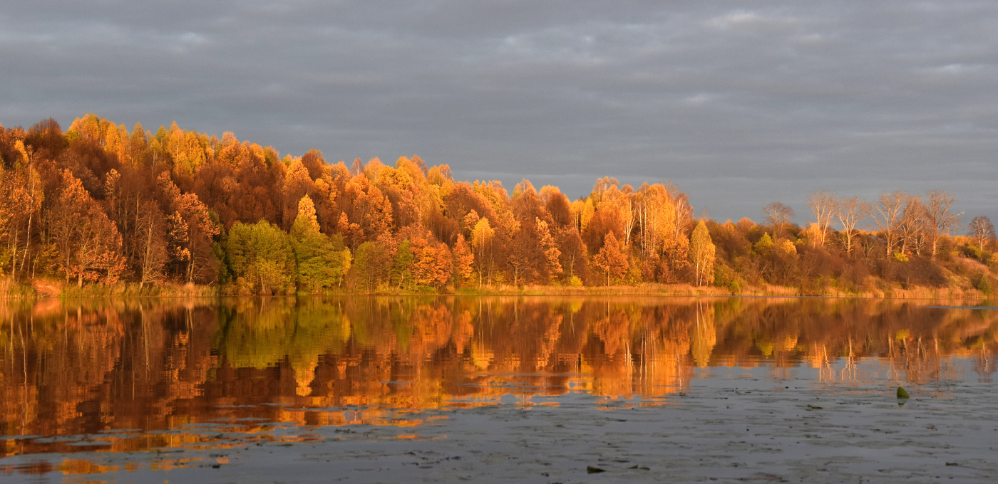 Осень золотая