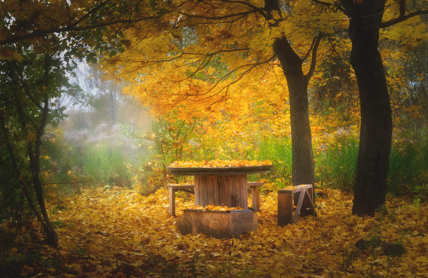 В осенней листве