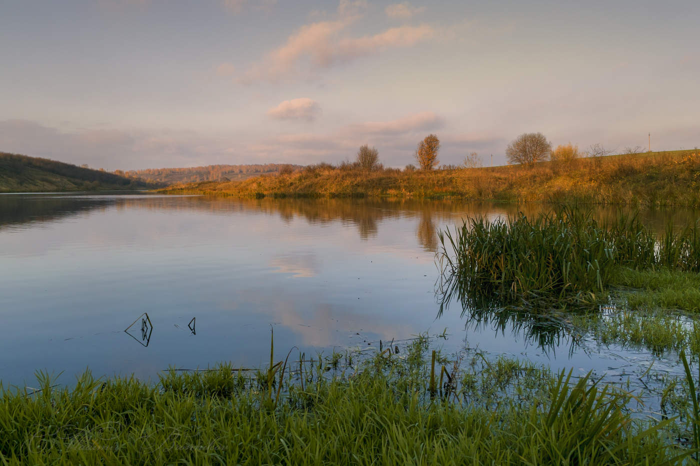 Тихо бродит осень