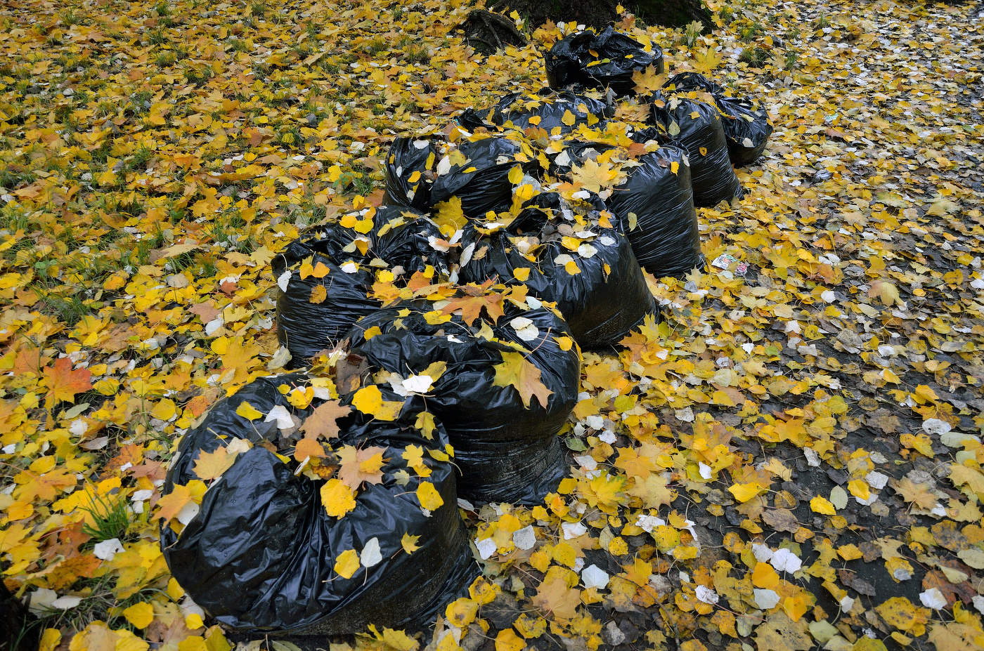 Осень уходит...