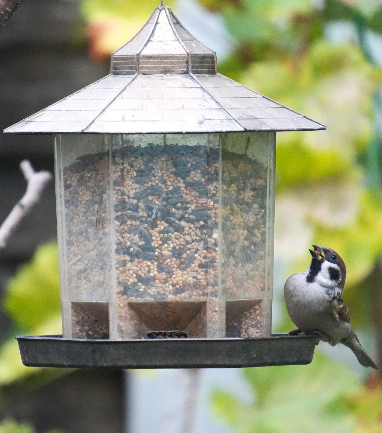 Неужели это всё мне?))