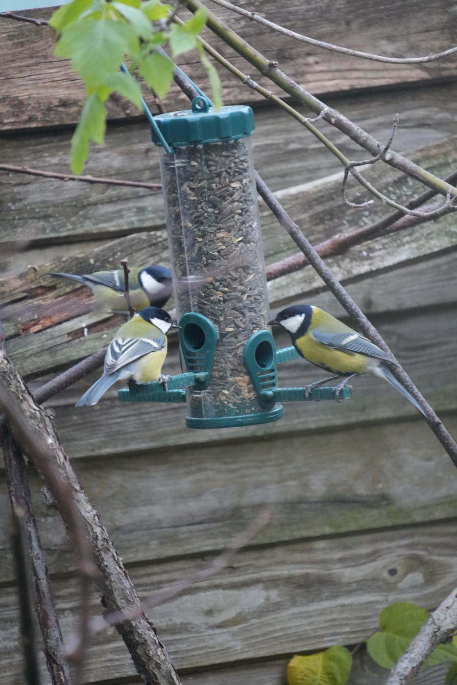 Сообразим на троих?