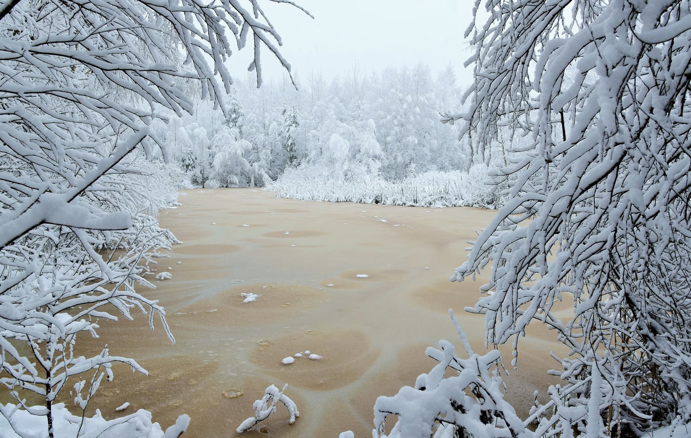 "Вот север, тучи нагоняя, дохнул ..."