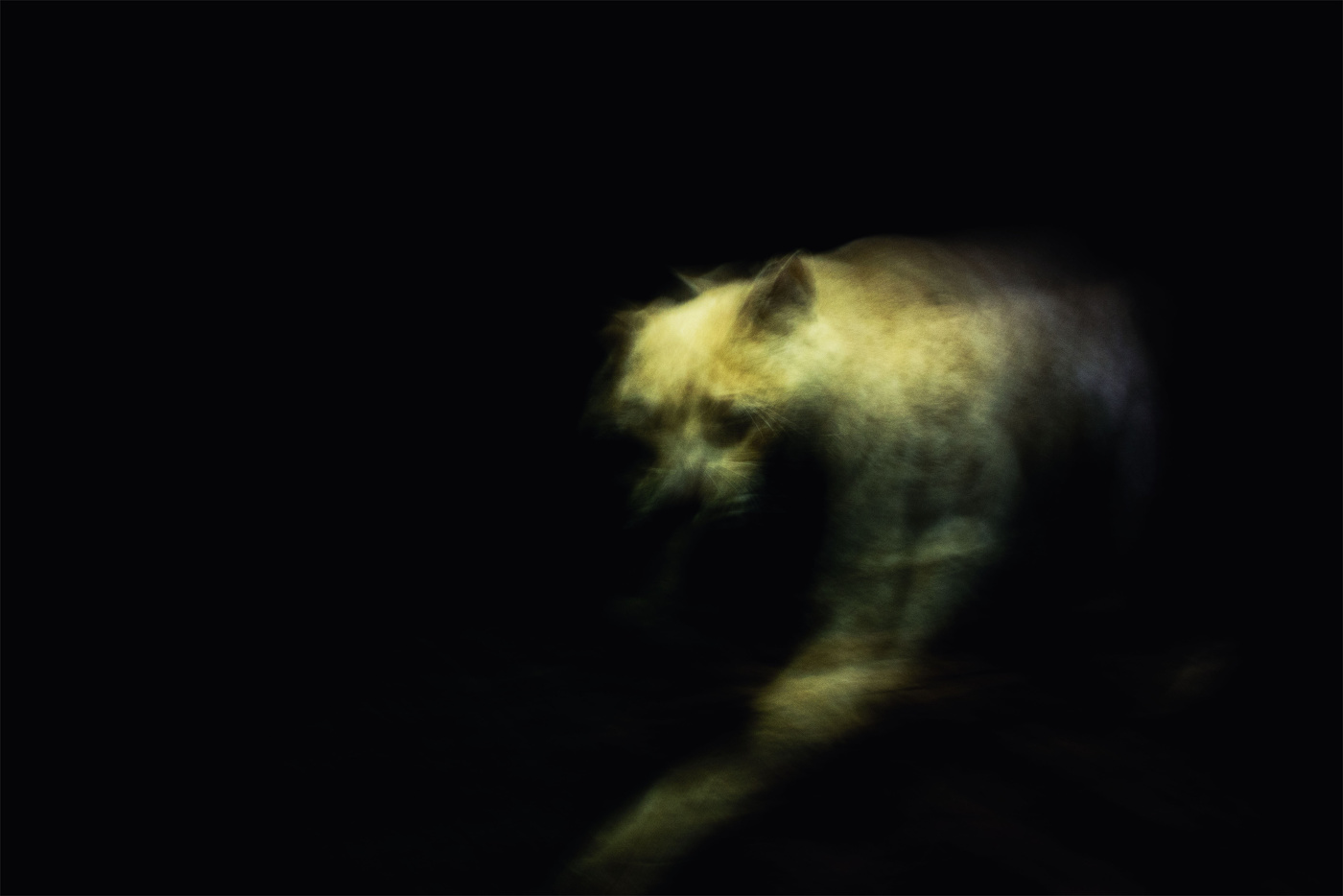 Жизнь вокруг