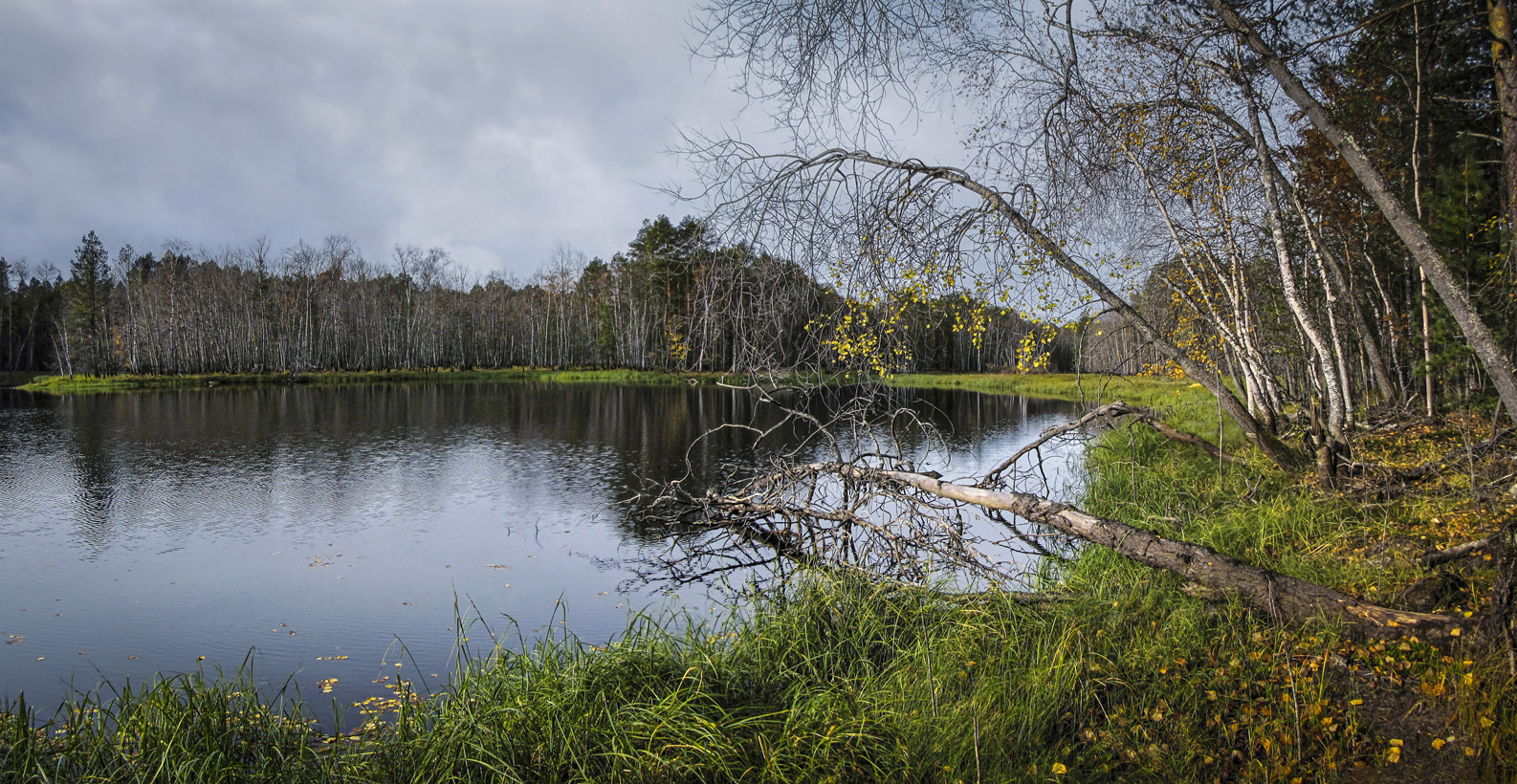 Вступила осень поздняя в права...
