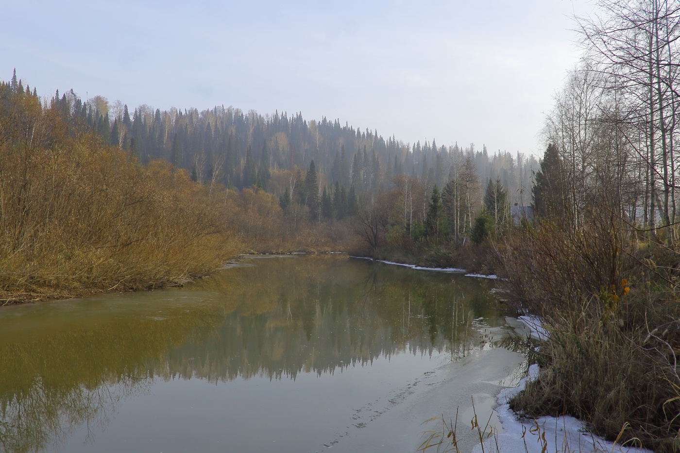 Предзимний сон тайги