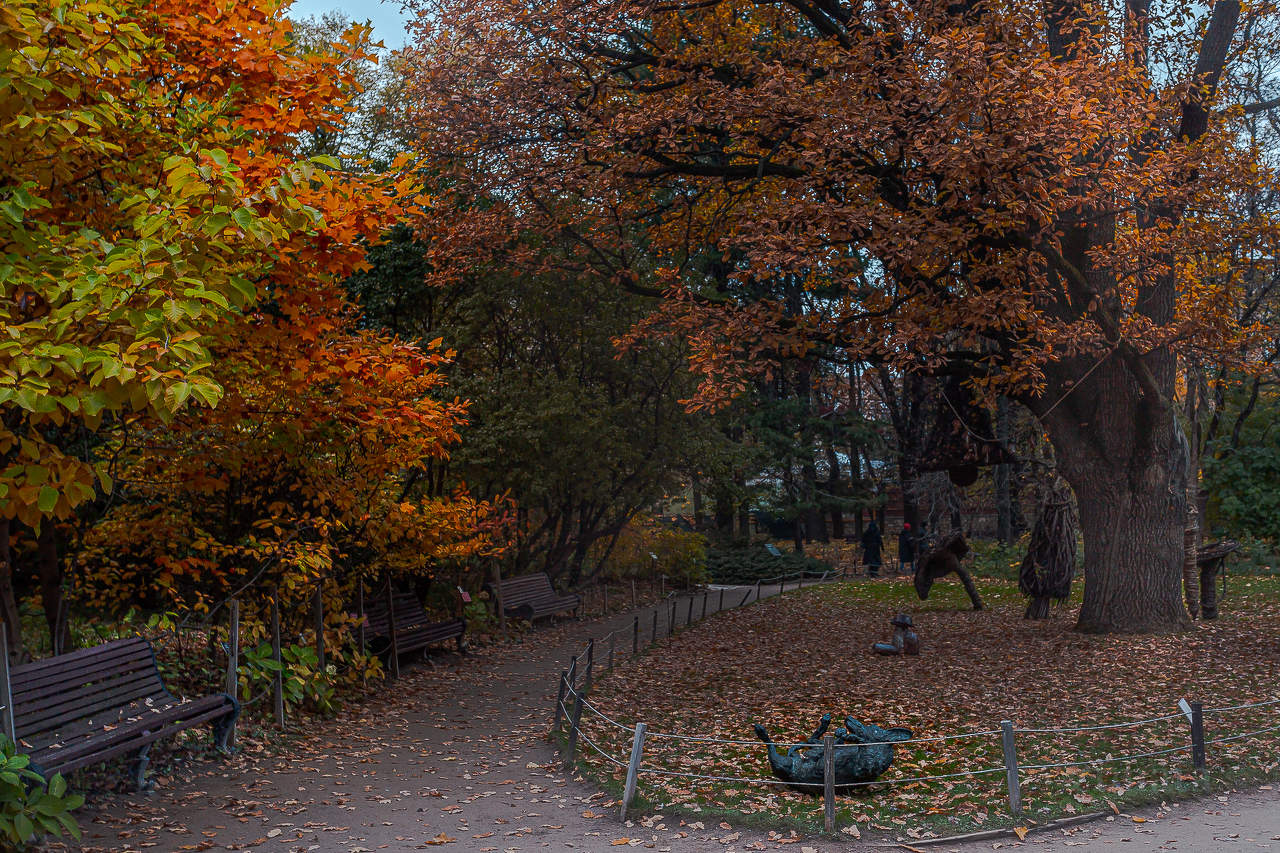 Уголок парка