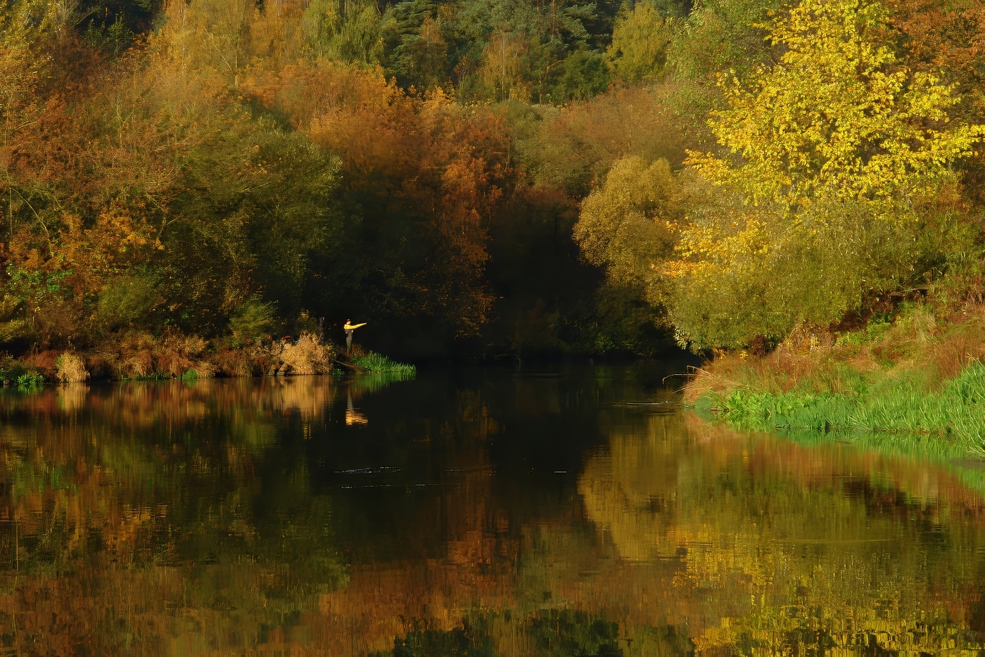 цветная осень
