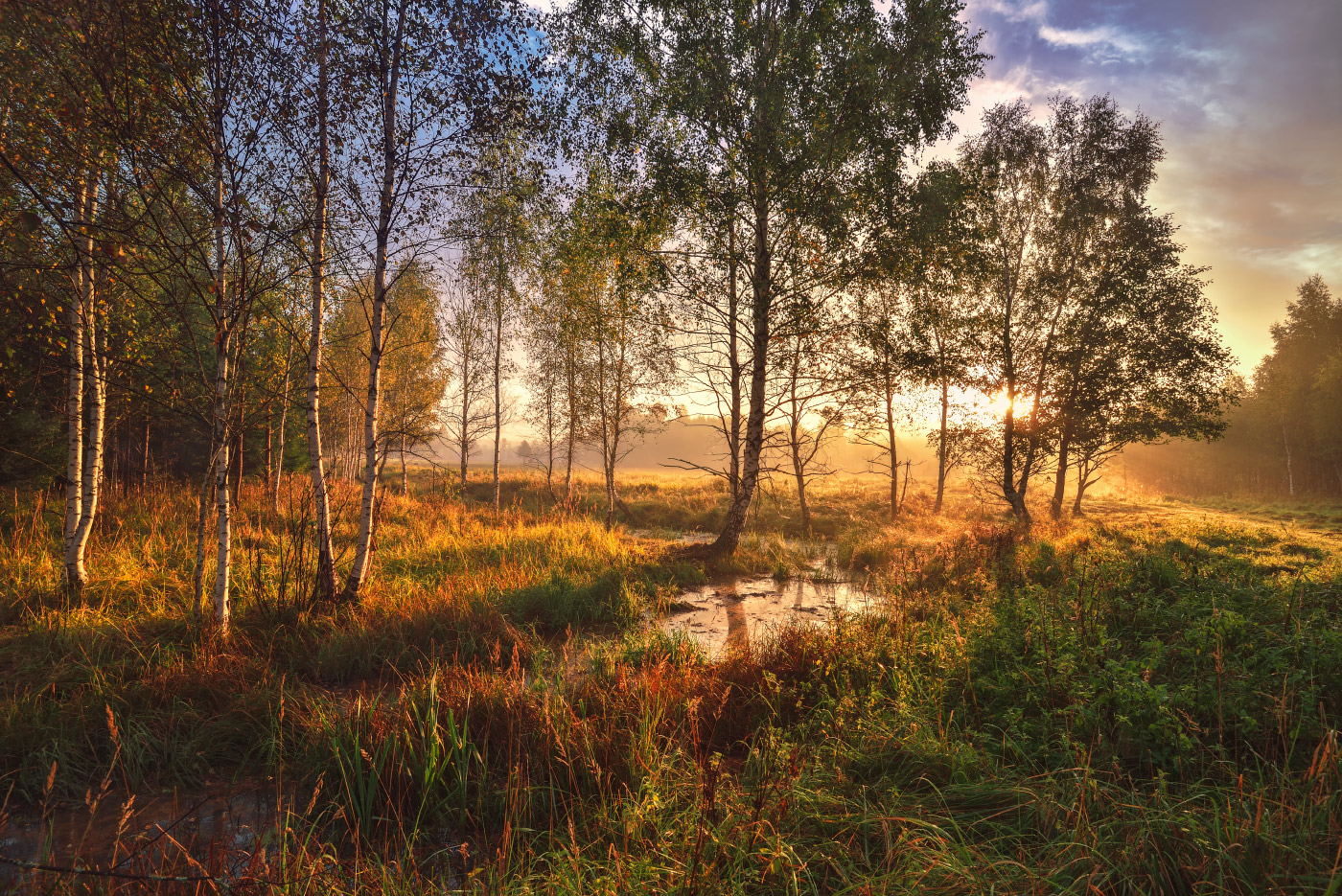 осеннее утро