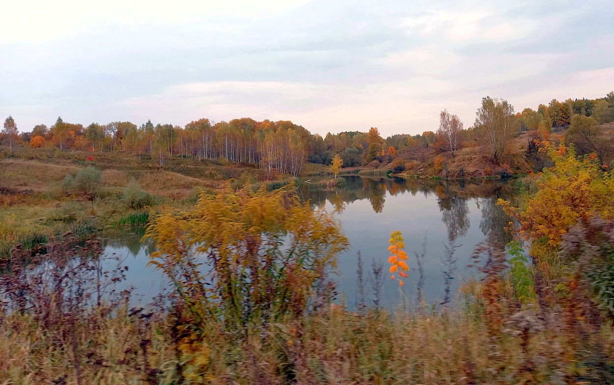Золотая осень в разгаре