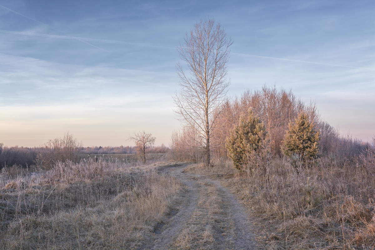 Морозное утро