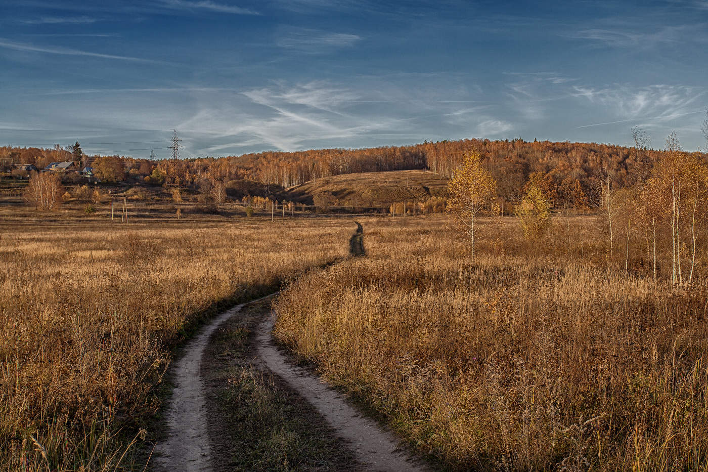 ... ни какая родина другая не вольет мне в грудь мою теплынь ...