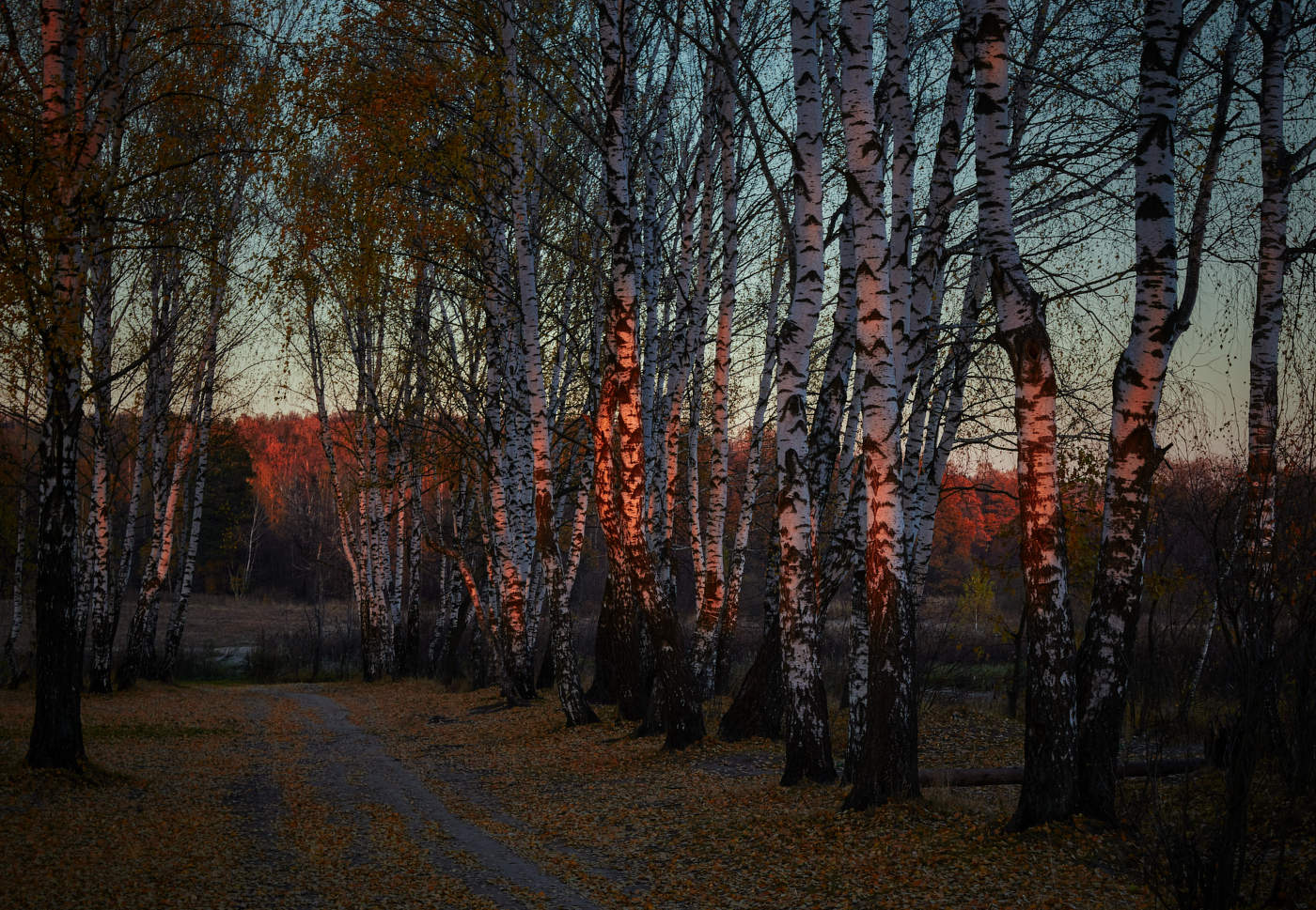 последний луч