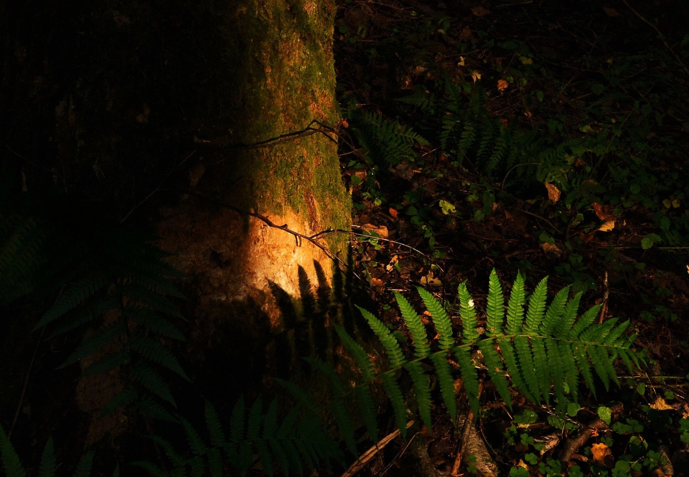 Вечерело ...