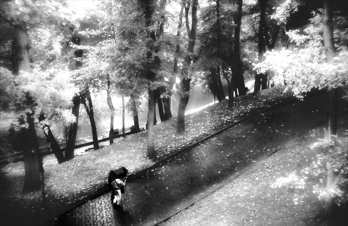 Время Дождей