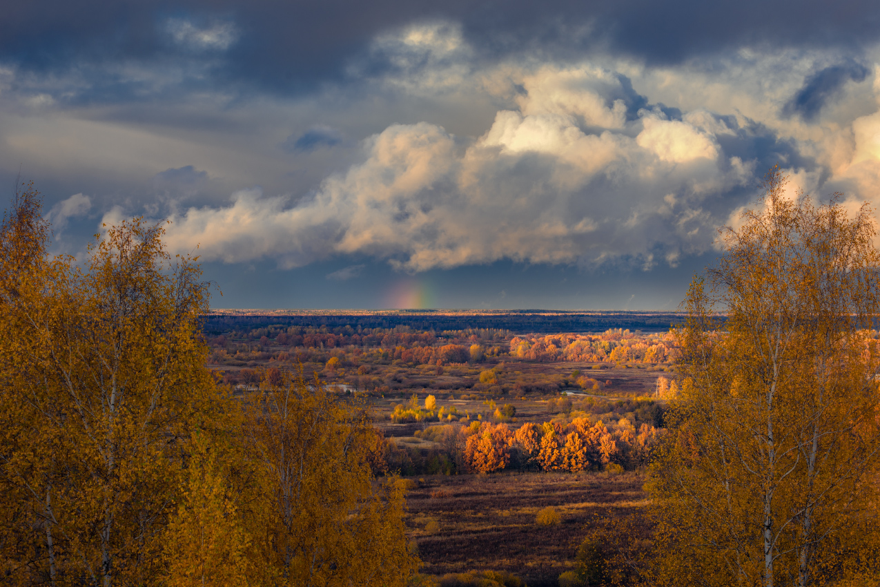 В последних лучах