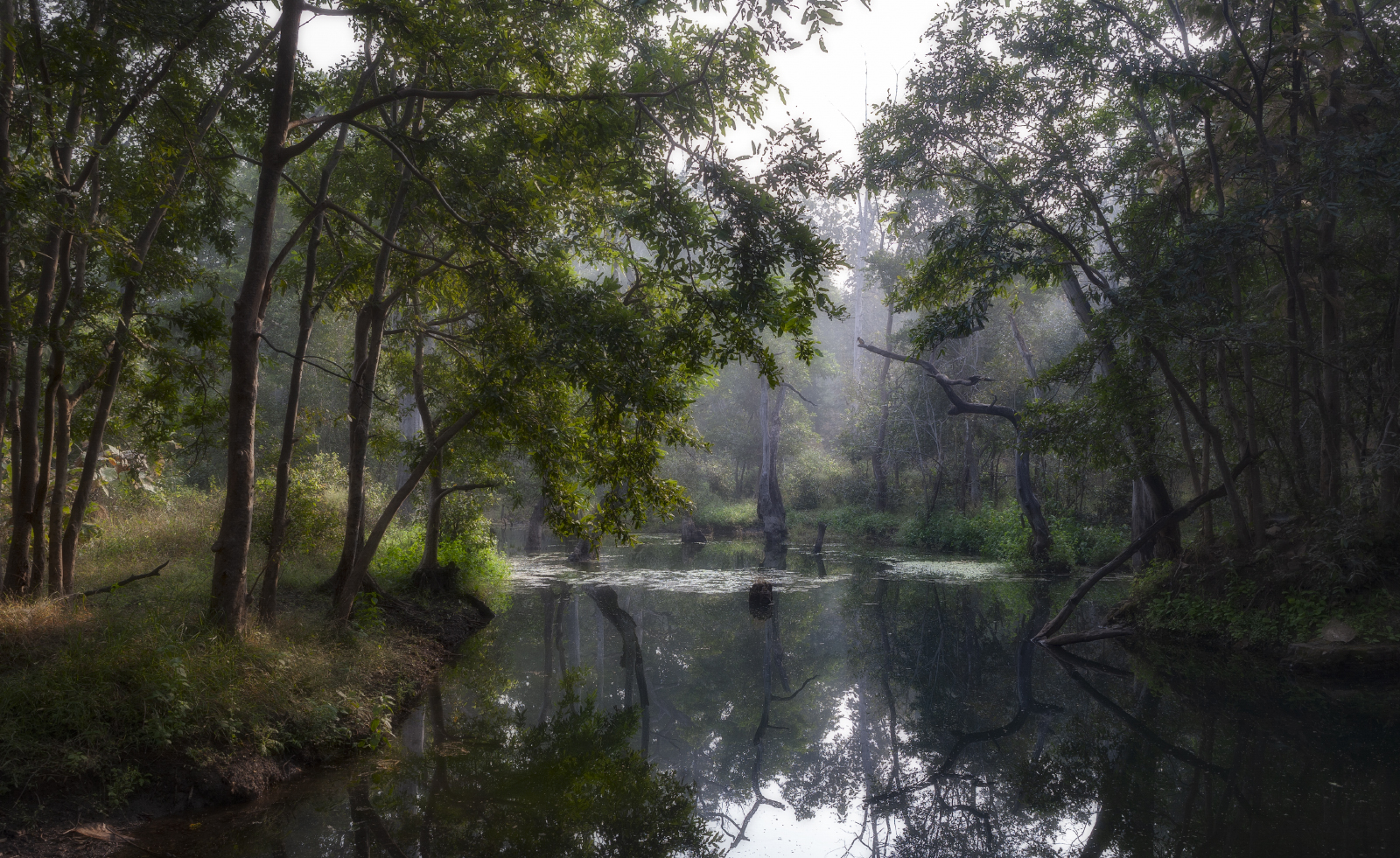 Таинственная река