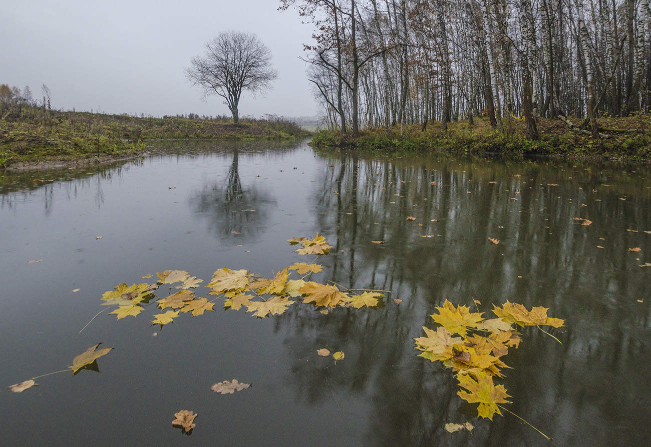 Неизбежность