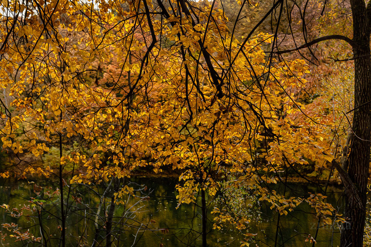 последние листочки