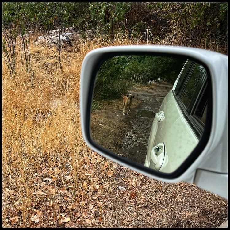 Город, прощай!