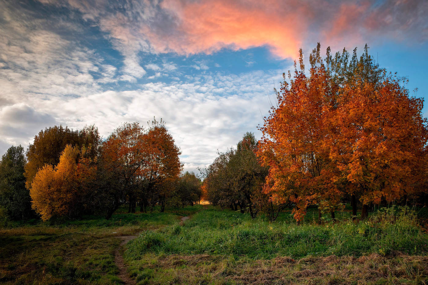 Осенняя пора