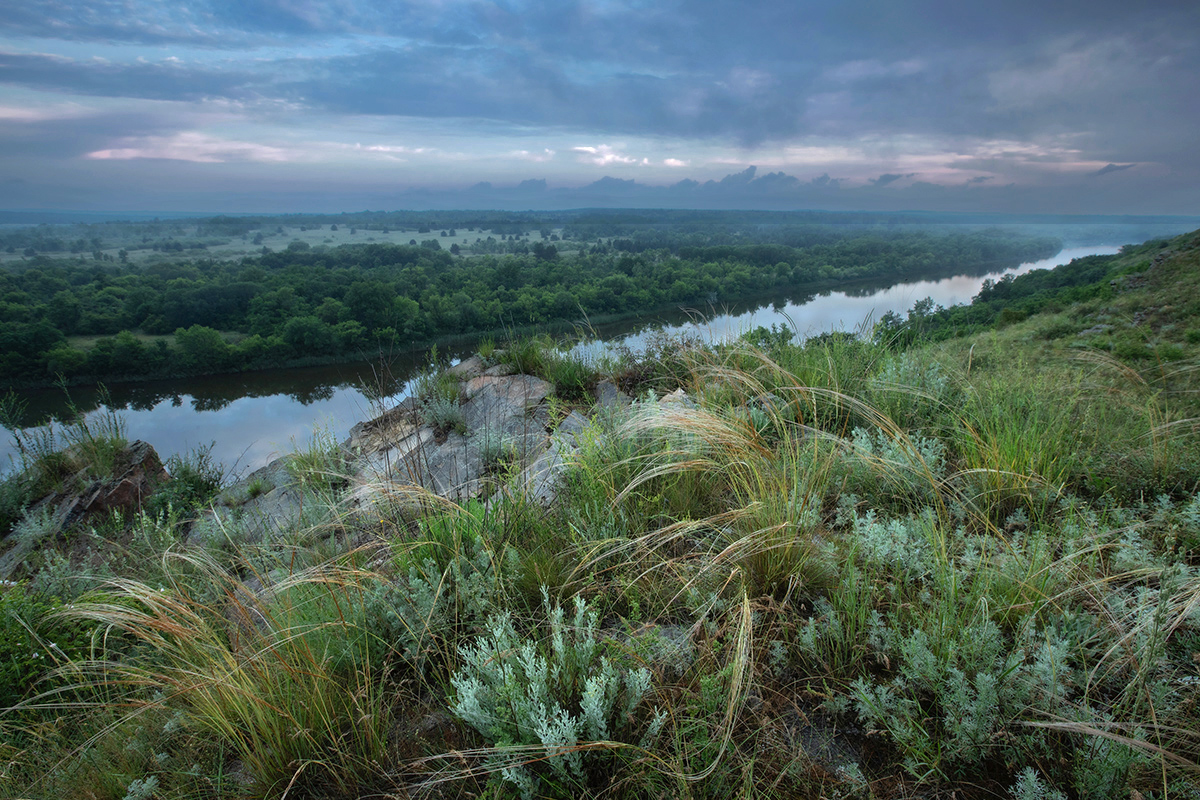 Сырое утро в мае
