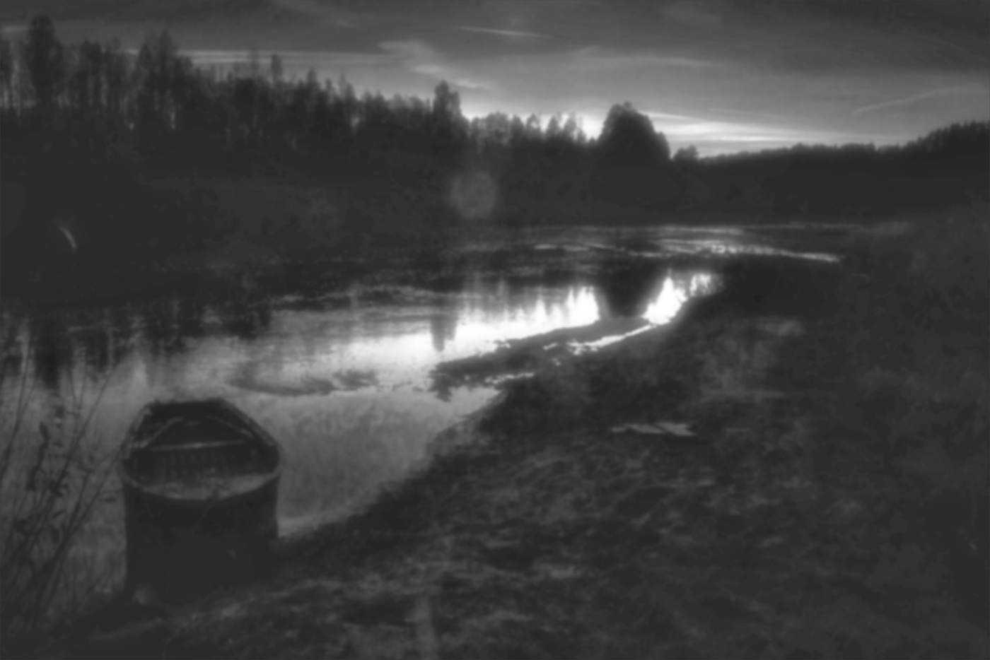 Жизнь вокруг