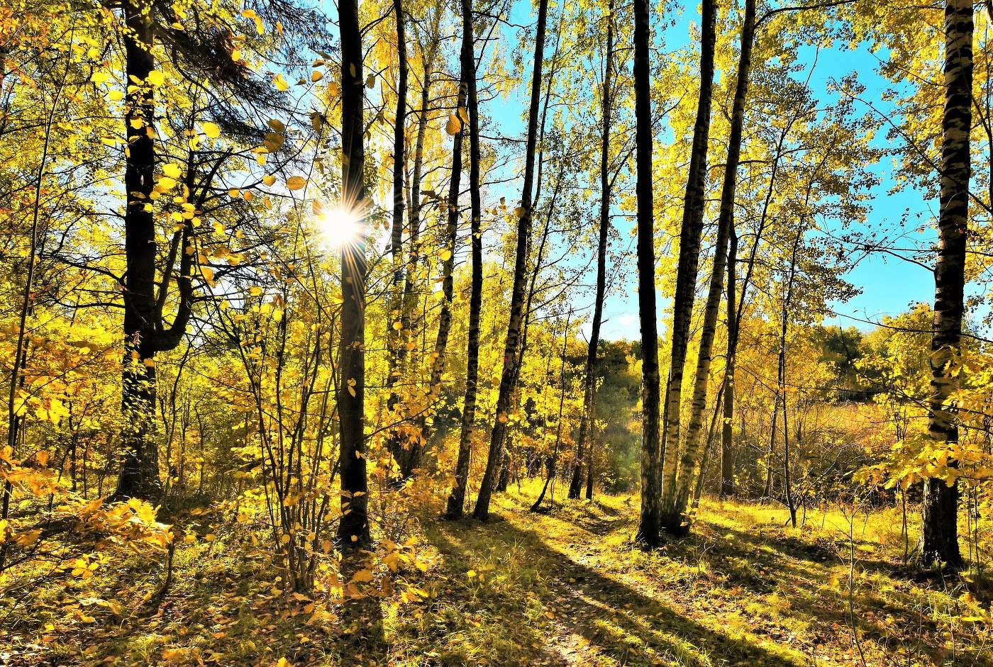 "Какой прелестный день: октябрь - а словно лето ..."
