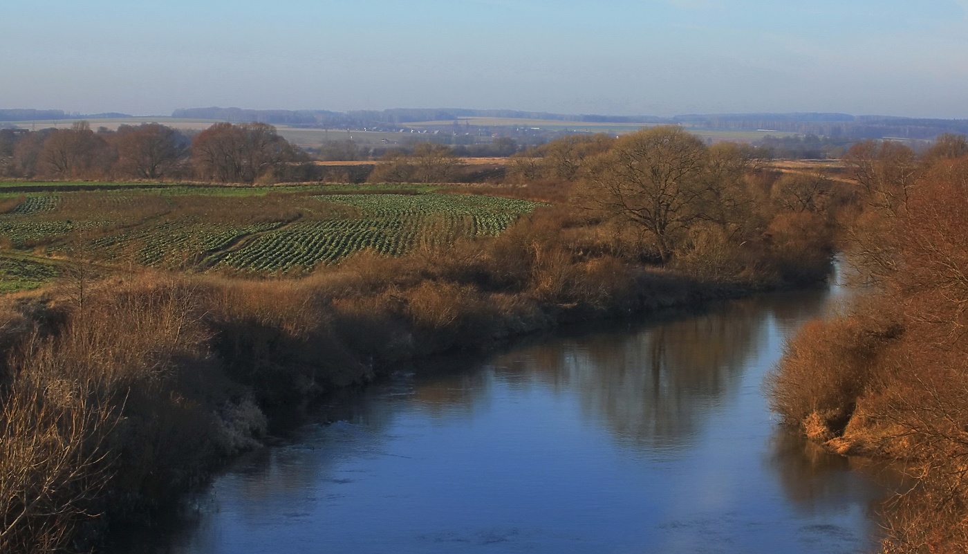 Ноябрьская капуста