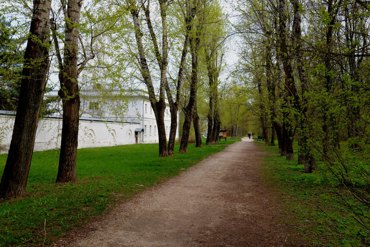 Тополёвая аллея