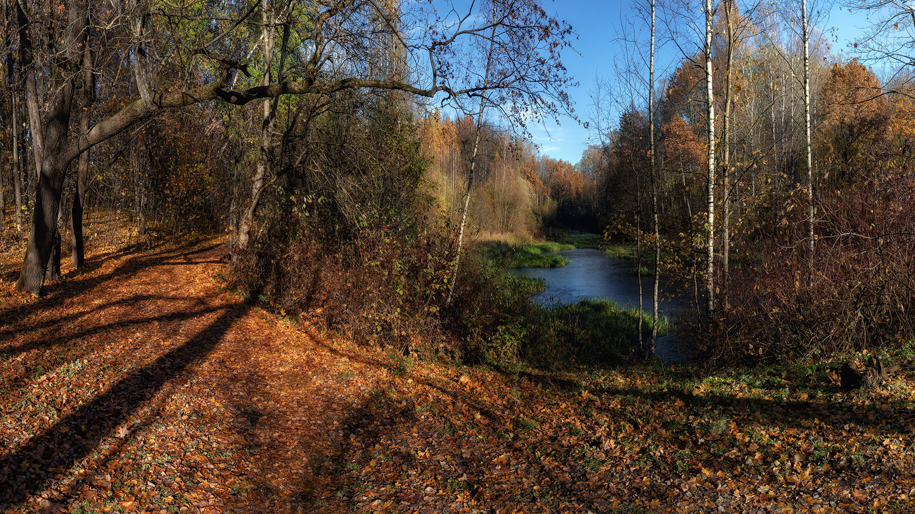 Снова осень закружила карусель мелодий...