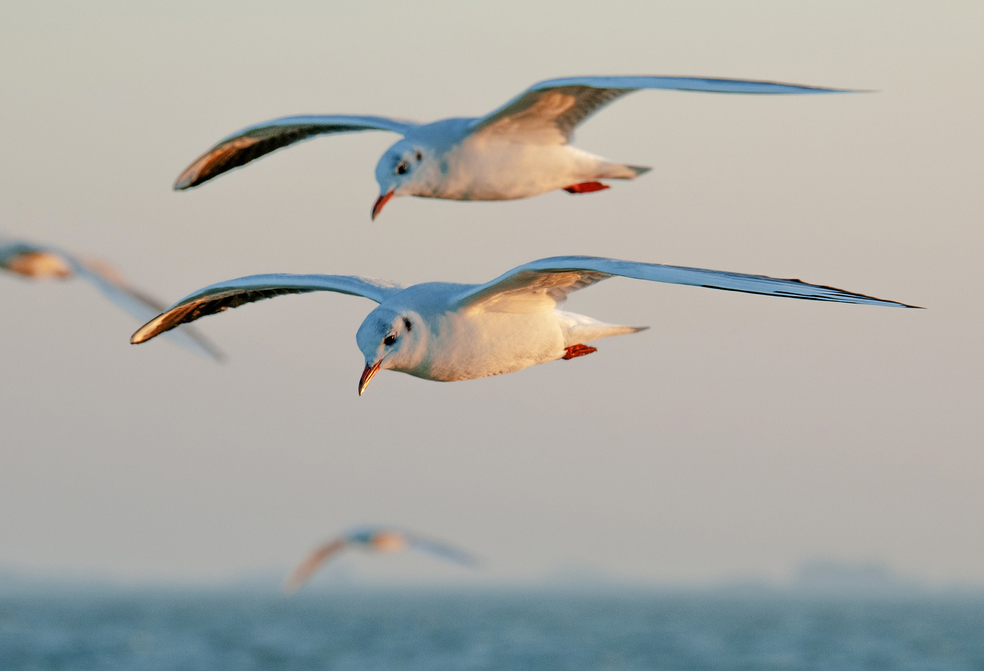 Синхронный полет