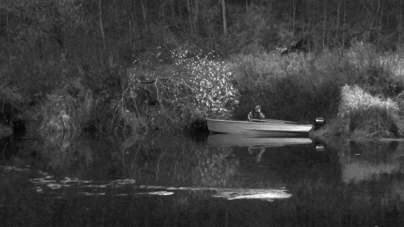 Жизнь вокруг