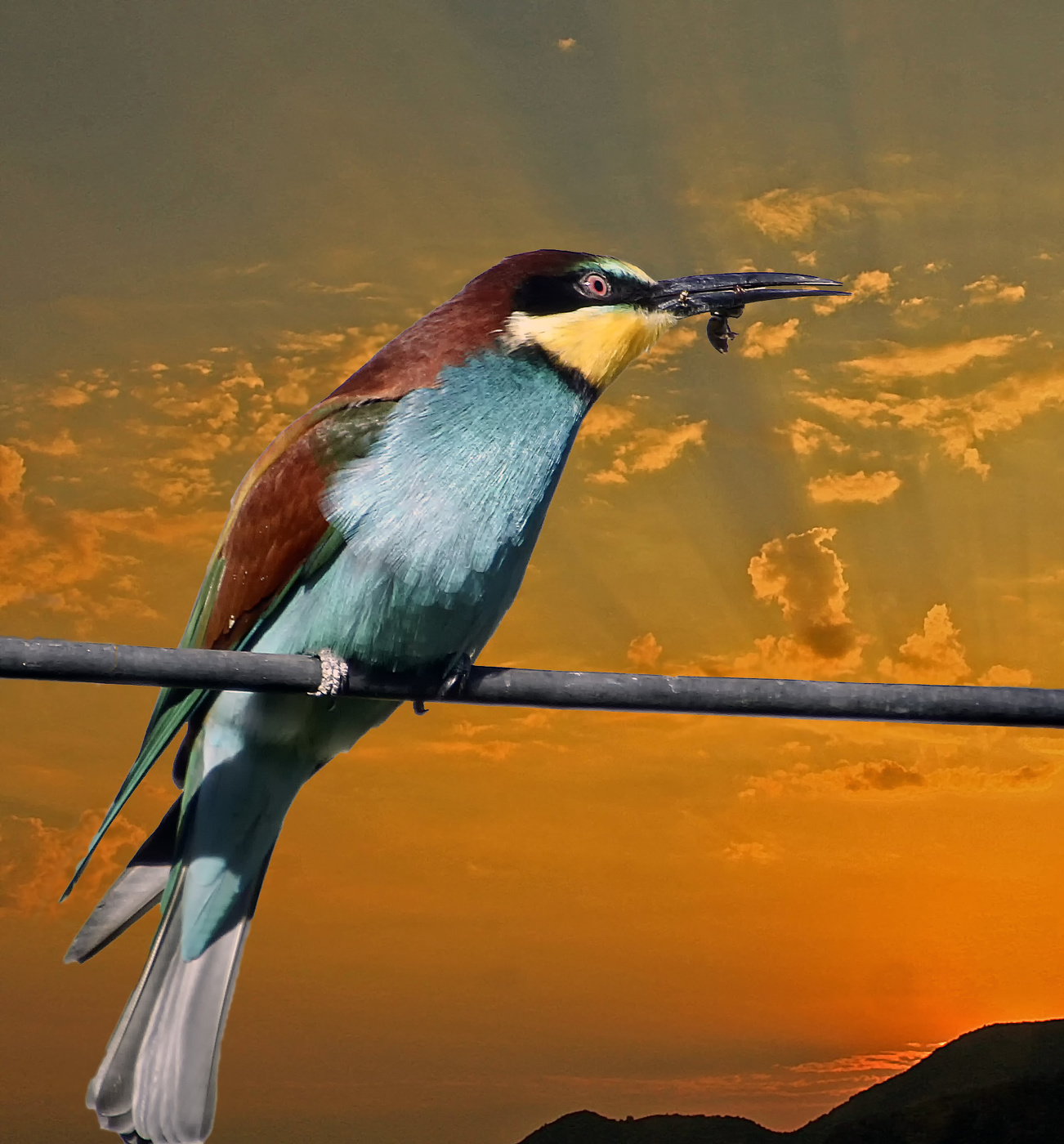 Вечерня трапеза