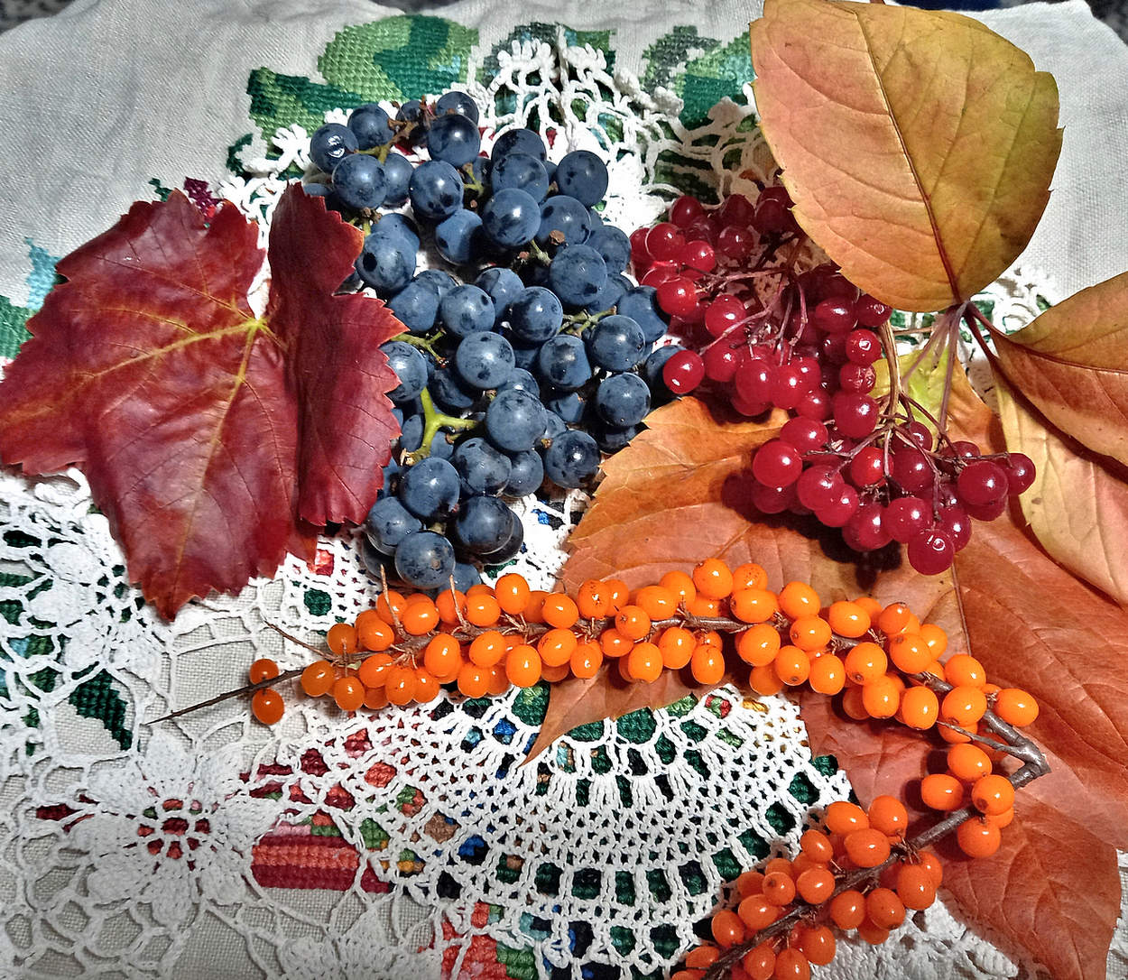 Осенние дары природы