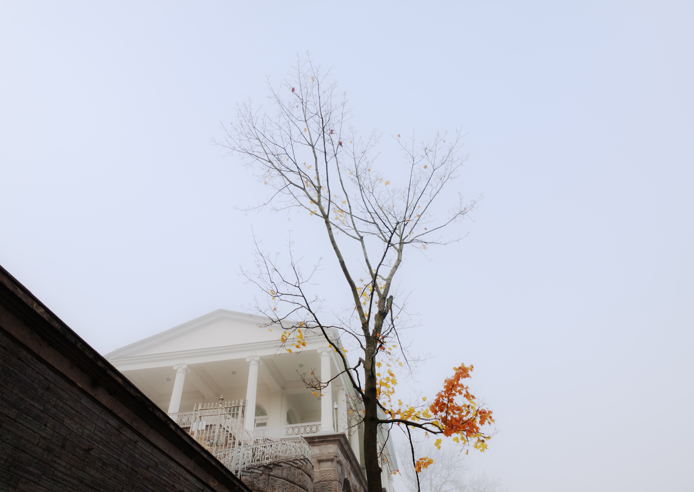 Царскосельские парки 3