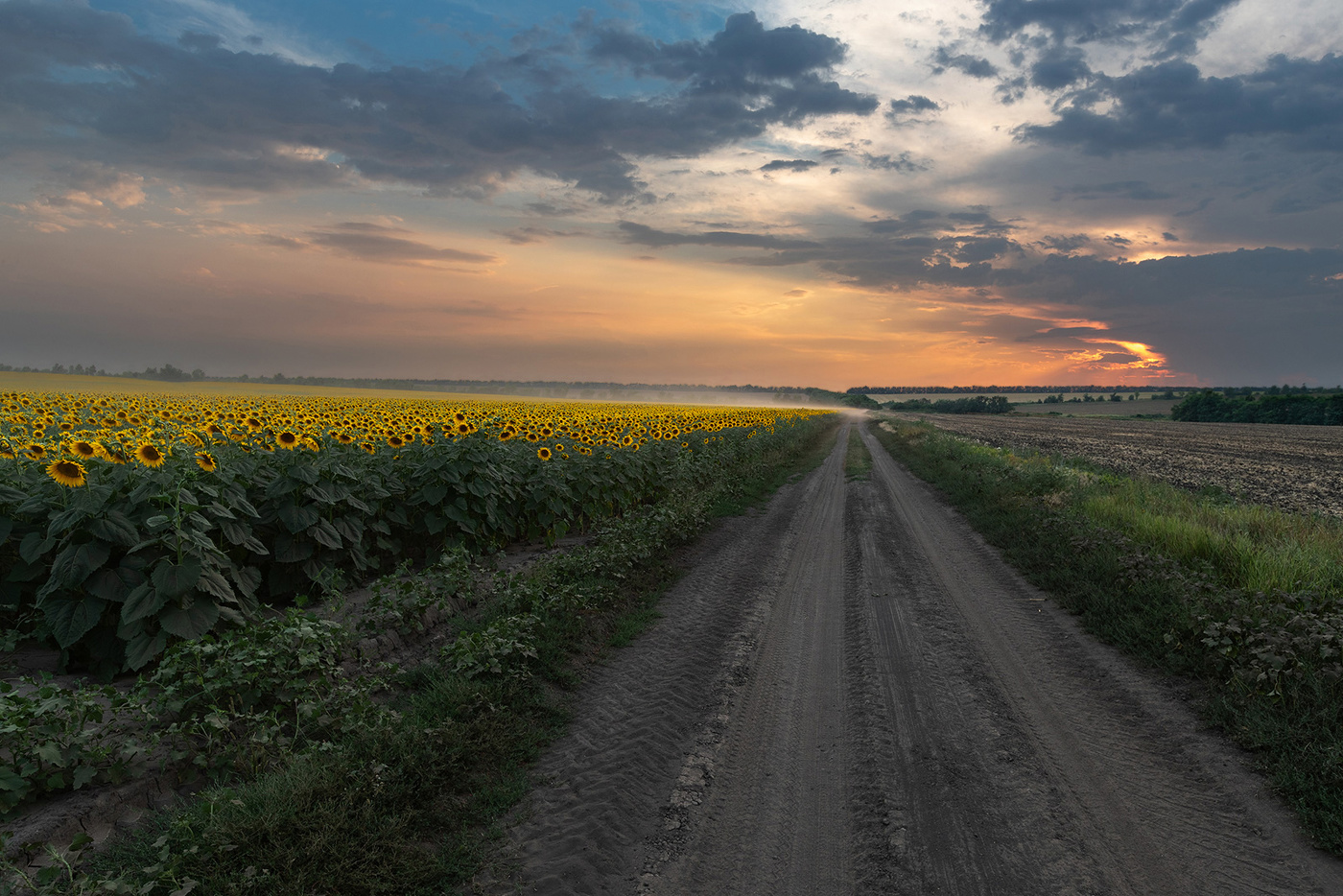 Дорога в август