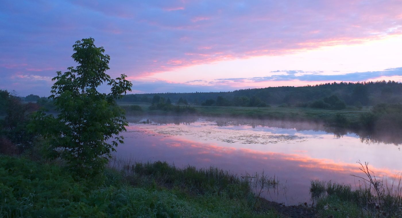 Летний рассвет.