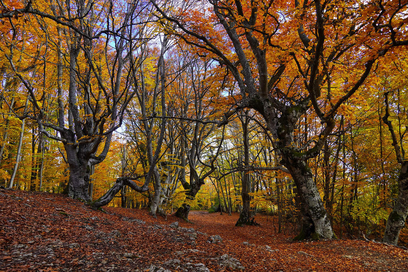 Крымская осень