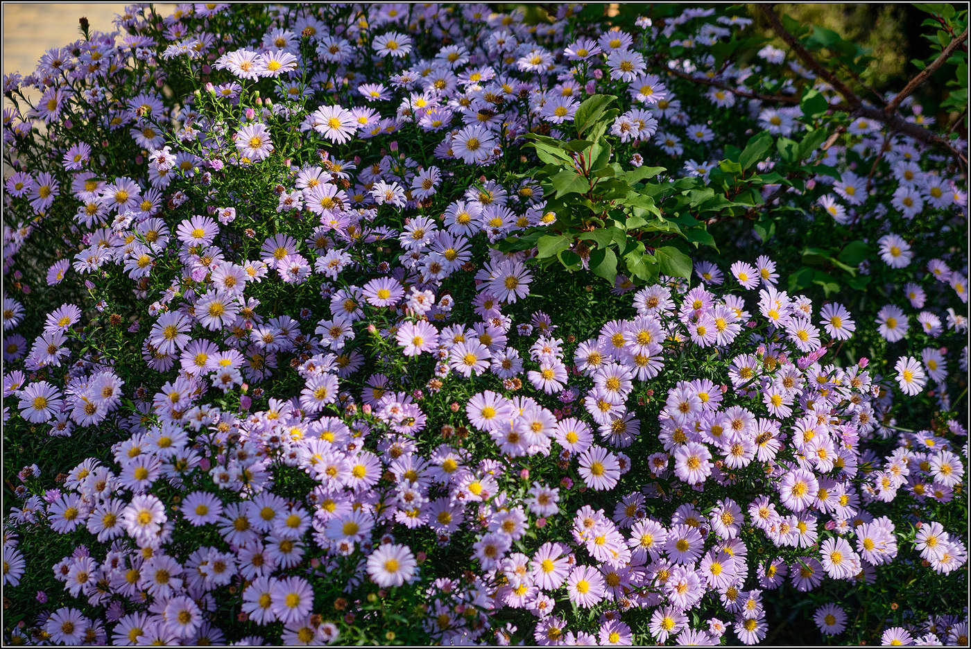 А у нас во дворе.